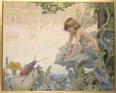 La fata e lo scarabeo da Arthur Herbert Buckland