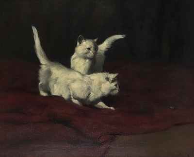 Arthur Heyer Gattino che osserva uno scarabeo da Arthur Heyer