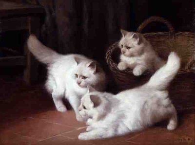 Tre gattini d