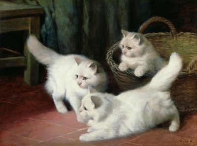 Tre gattini d