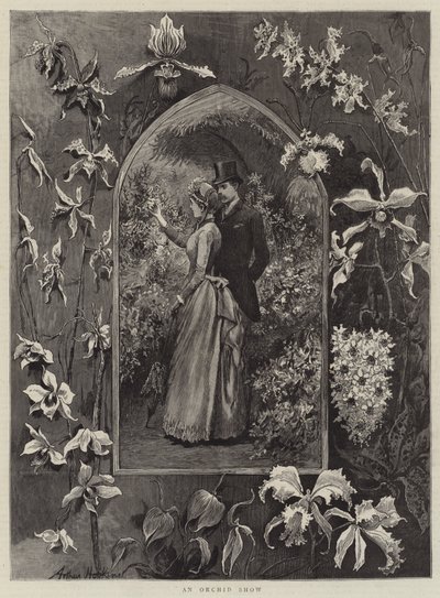 Una mostra di orchidee da Arthur Hopkins