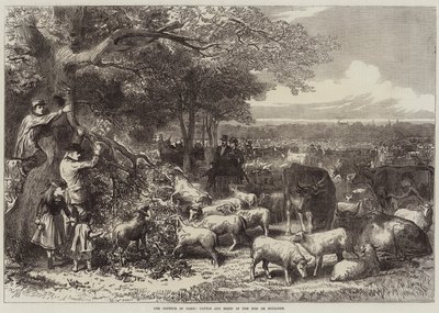 La difesa di Parigi, Bovini e pecore nel Bois de Boulogne da Arthur Hopkins