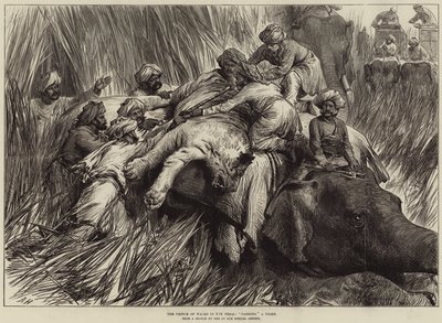 Il Principe di Galles nel Terai, caccia a una tigre da Arthur Hopkins