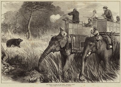 Il Principe di Galles nel Terai, caccia a un Orso da Arthur Hopkins
