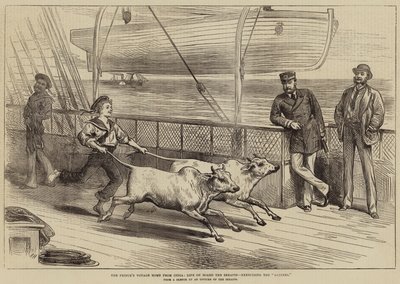 Il viaggio di ritorno del Principe dall