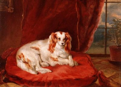 Un Cavalier King Charles Spaniel sdraiato su un cuscino rosso da Arthur J. Stark