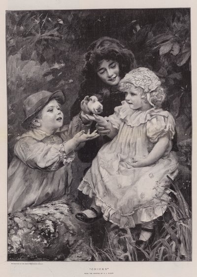 Pulcini (incisione) da Arthur John Elsley