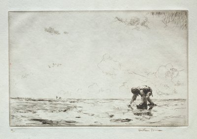 Il raccoglitore di lumache da Arthur John Trevor Briscoe