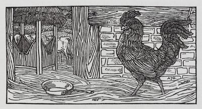Hans Christian Andersen: "Non c
