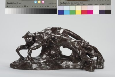 Cani che catturano un puma da Arthur Putnam