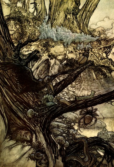 Sogno di una notte di mezza estate da Arthur Rackham