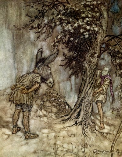 Sogno di una notte di mezza estate da Arthur Rackham