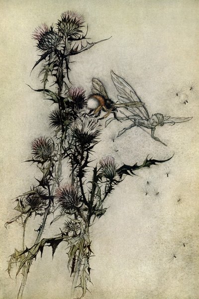 Sogno di una notte di mezza estate da Arthur Rackham