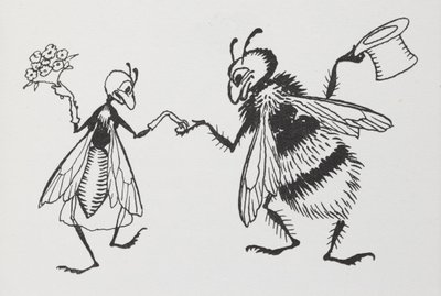 Una mosca e un