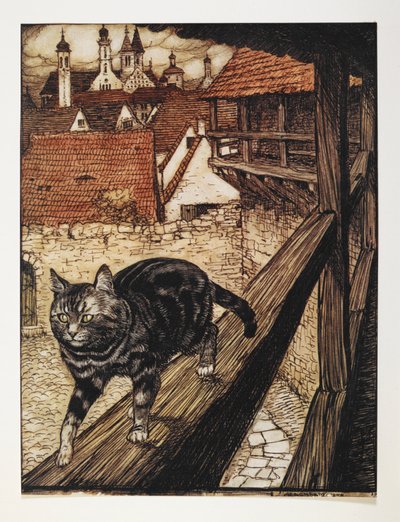 Un gatto tigrato che cammina lungo la ringhiera di un edificio da Arthur Rackham