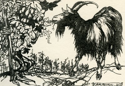 Favole di Esopo da Arthur Rackham