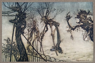 Un sambuco zoppicò attraverso il sentiero e si fermò a chiacchierare con alcuni bambini .., da Peter Pan nei Giardini di Kensington di J M Barrie (1860 - 1937), pub. 1906 da Arthur Rackham