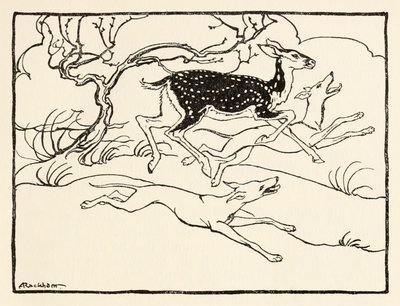Becfola nel suo carro da Il corteggiamento di Becfola in Fiabe irlandesi da Arthur Rackham