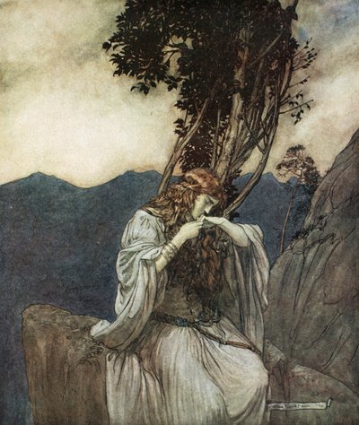 Brunilde bacia l