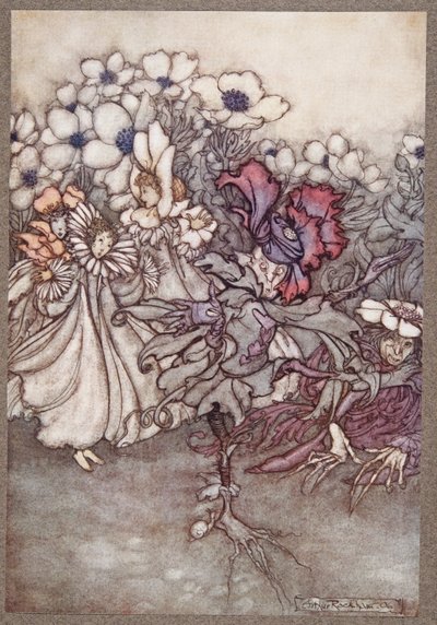 Ma se guardi, e temono che non ci sia tempo per nascondersi, stanno fermi fingendo di essere fiori, da Peter Pan nei Giardini di Kensington di J M Barrie (1860 - 1937), pub. 1906 da Arthur Rackham
