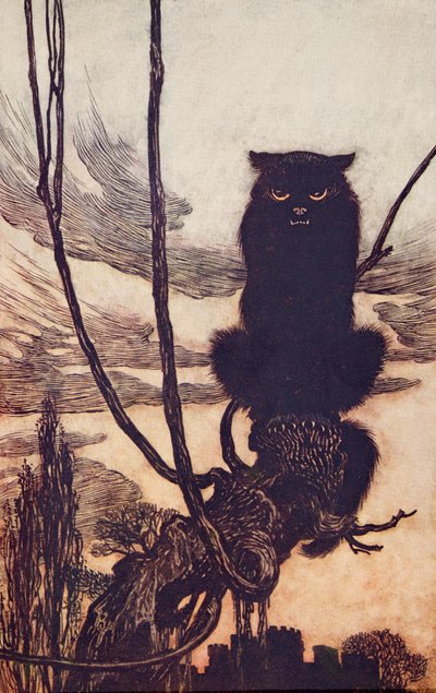 Di giorno si trasformava in un gatto, da Le fiabe dei fratelli Grimm, pub. 1909 da Arthur Rackham