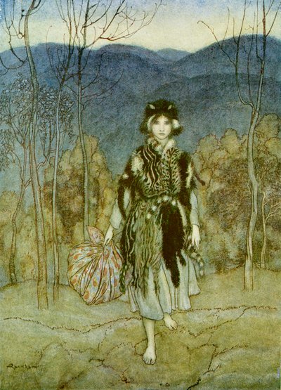 Pelle di gatto da Arthur Rackham