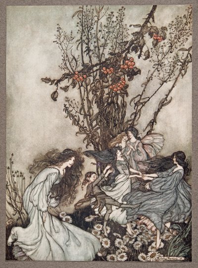 Le fate non dicono mai Siamo felici, quello che dicono è Ci sentiamo danzanti, da Peter Pan nei Giardini di Kensington di J M Barrie, pub. 1906 da Arthur Rackham