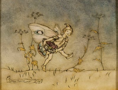 Fata, illustrazione da 