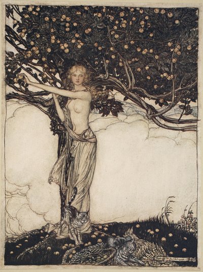 Freia, la bella, illustrazione da 