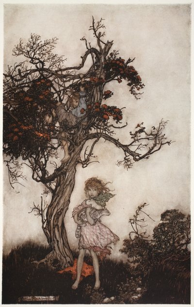 I suoi figli erano così stracciati e selvaggi come se non appartenessero a nessuno., da Rip Van Winkle di Washington Irving, pub. 1910 da Arthur Rackham