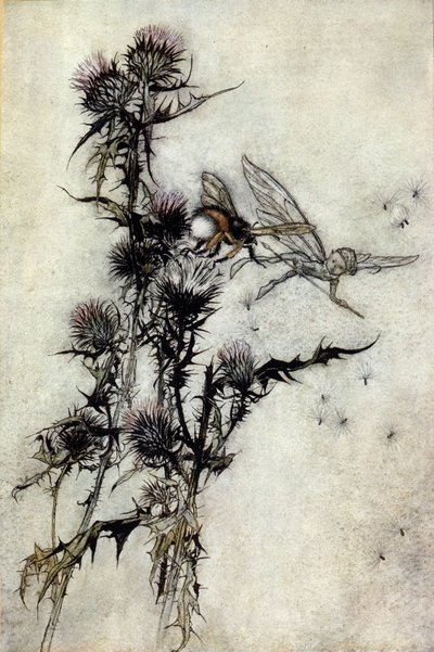 Illustrazione di Arthur Rackham per Il sogno di una notte di mezza estate di William Shakespeare da Arthur Rackham