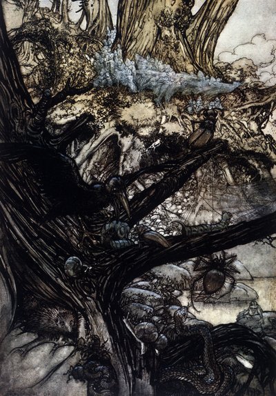 Illustrazione di Arthur Rackham per Il Sogno di una Notte di Mezza Estate di William Shakespeare da Arthur Rackham