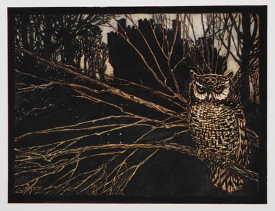 Illustrazione di un gufo da Jorinda e Joringel da Arthur Rackham