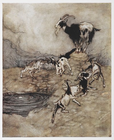 Illustrazione di una capra e i suoi capretti che giocano da Il Lupo e i Sette Capretti da Arthur Rackham