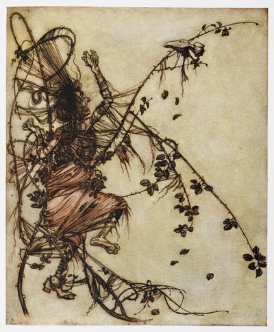 Illustrazione di un uomo intrappolato nelle spine da Sweetheart Roland da Arthur Rackham