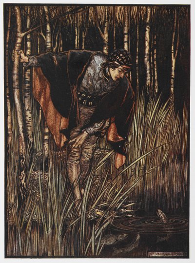 Illustrazione di un giovane vicino a uno stagno da Il Serpente Bianco da Arthur Rackham