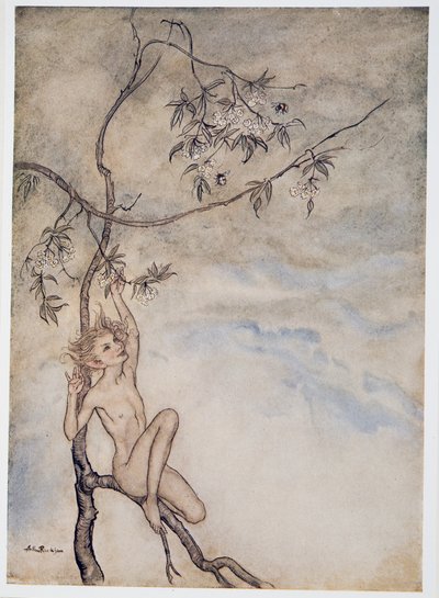 Allegro, allegro vivrò ora sotto il fiore che pende dal ramo, illustrazione da La Tempesta di William Shakespeare, pub. 1926 da Arthur Rackham