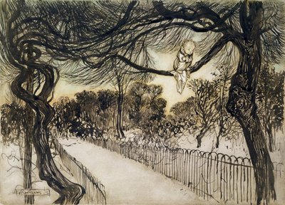 Peter Pan su un ramo, scena da Peter Pan nei Giardini di Kensington di J.M Barrie, 1912 da Arthur Rackham