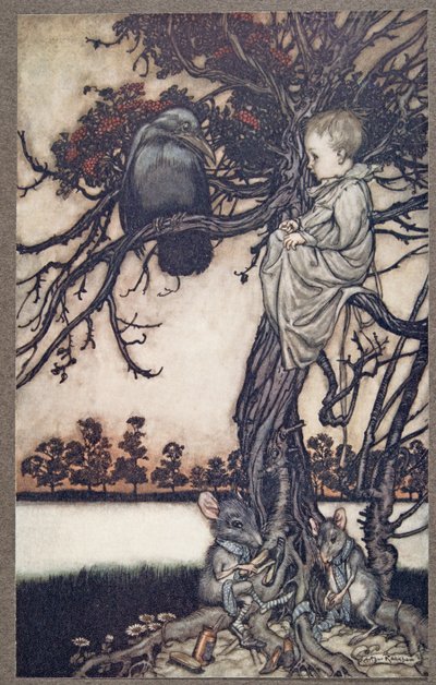 Presentò il suo strano caso al vecchio Solomon Caw, da Peter Pan nei Giardini di Kensington di J M Barrie (1860 - 1937), pub. 1906 da Arthur Rackham