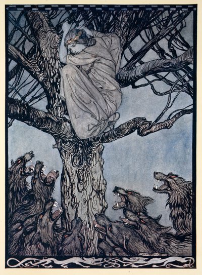Guardava con rabbia e dolore la folla che si sforzava e ringhiava sotto, illustrazione da 