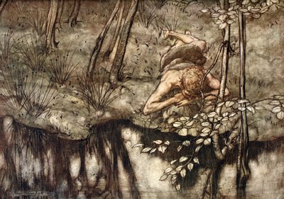 Siegfried si vede nel ruscello, 1924 da Arthur Rackham