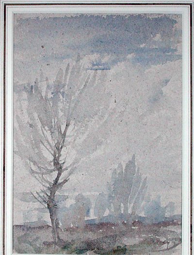 Studio di un albero da Arthur Rackham