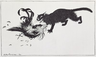 Il gatto e il gallo, illustrazione da 