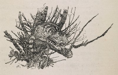 Il Gatto del Cheshire su un albero da Arthur Rackham