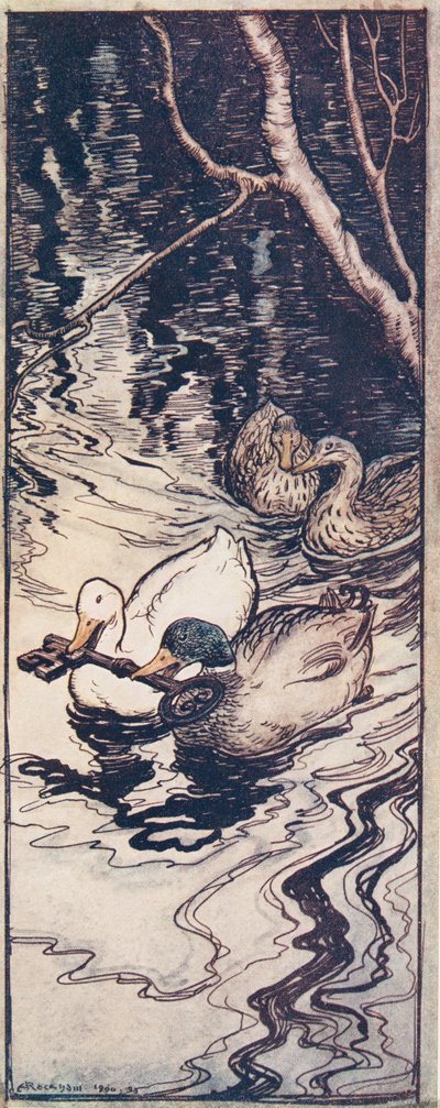 Le anatre, che una volta aveva salvato, si tuffarono e portarono su la chiave dalle profondità, da Le fiabe dei fratelli Grimm, pub. 1909 da Arthur Rackham