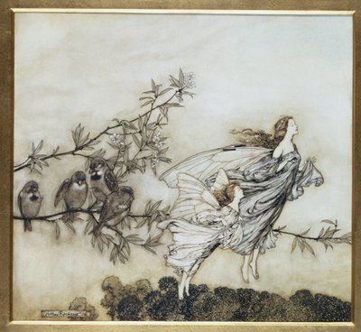 Le fate litigano con gli uccelli, illustrazione del 1906 per Peter Pan nei giardini di Kensington di J.M. Barrie, pub. 1906 da Arthur Rackham
