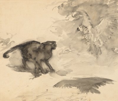 Il pappagallo e il gatto (Schizzo per "Buonanotte" di Eleanor Gates) da Arthur Rackham