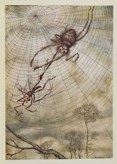 Il ragno e la mosca, illustrazione da 
