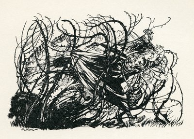Le tre teste del pozzo da Arthur Rackham