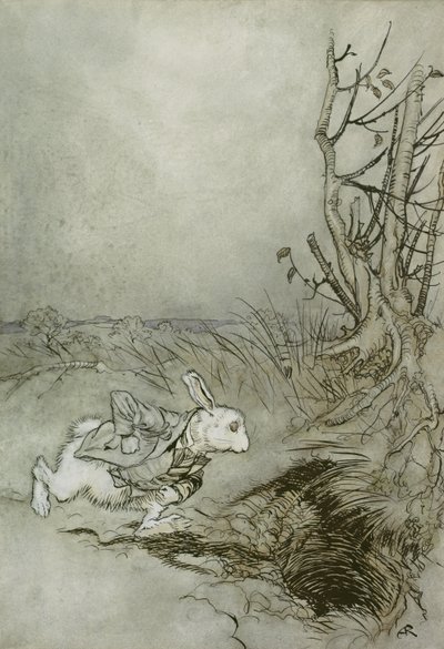 Il Coniglio Bianco, illustrazione da 